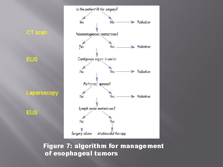 CT scan EUS Laparoscopy EUS Figure 7: algorithm for management of esophageal tumors 