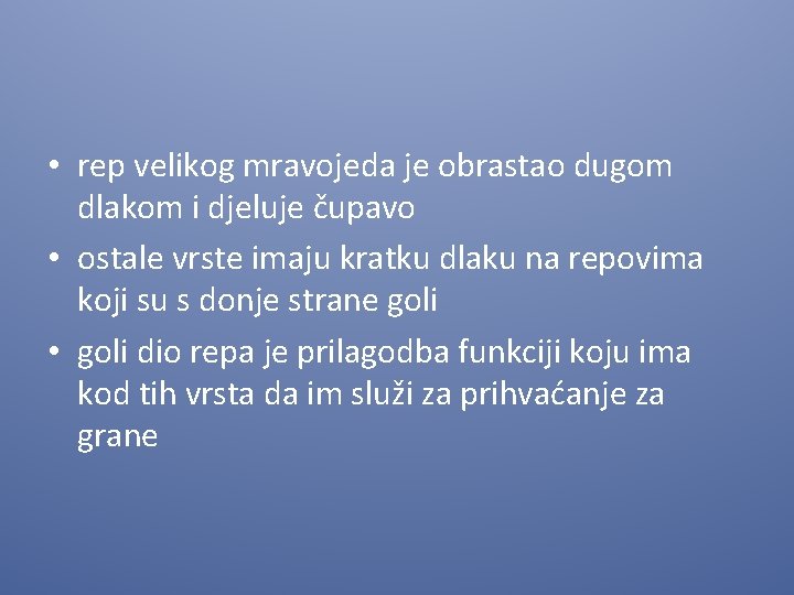  • rep velikog mravojeda je obrastao dugom dlakom i djeluje čupavo • ostale