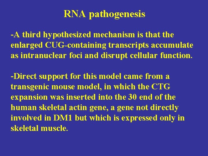 RNA pathogenesis -A third hypothesized mechanism is that the enlarged CUG-containing transcripts accumulate as