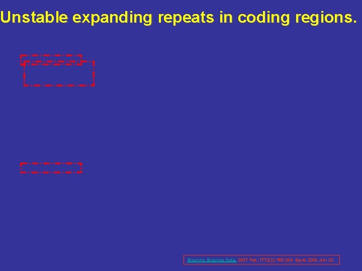 Unstable expanding repeats in coding regions. Biochim Biophys Acta. 2007 Feb; 1772(2): 195 -204.