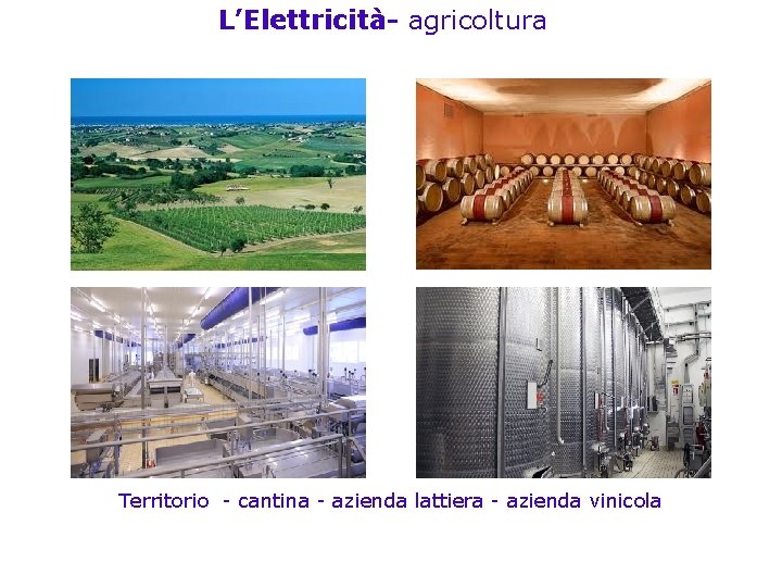 L’Elettricità- agricoltura Territorio - cantina - azienda lattiera - azienda vinicola 