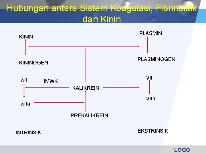 Hubungan antara Sistem Koagulasi, Fibrinolitik dan Kinin PLASMIN KININ PLASMINOGEN KININOGEN XII VII HMWK
