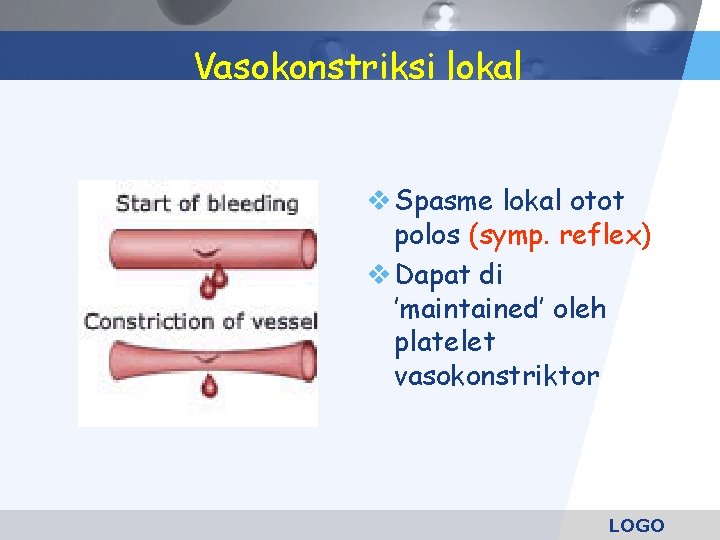 Vasokonstriksi lokal Spasme lokal otot polos (symp. reflex) Dapat di ’maintained’ oleh platelet vasokonstriktor