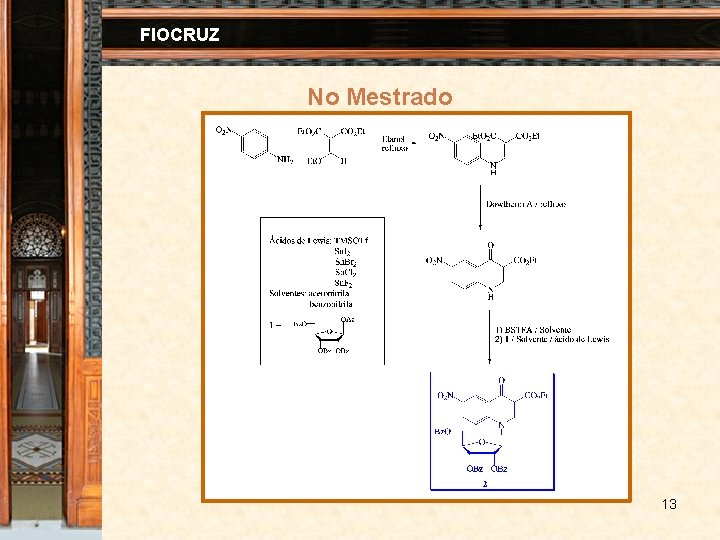 FIOCRUZ No Mestrado 13 