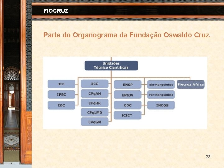 FIOCRUZ Parte do Organograma da Fundação Oswaldo Cruz. 23 