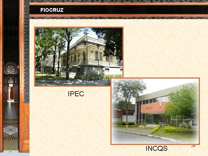 FIOCRUZ IPEC INCQS 24 