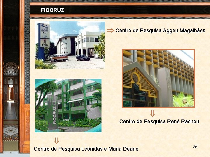 FIOCRUZ Centro de Pesquisa Aggeu Magalhães Centro de Pesquisa René Rachou Centro de Pesquisa
