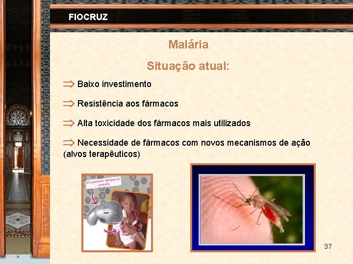 FIOCRUZ Malária Situação atual: Baixo investimento Resistência aos fármacos Alta toxicidade dos fármacos mais