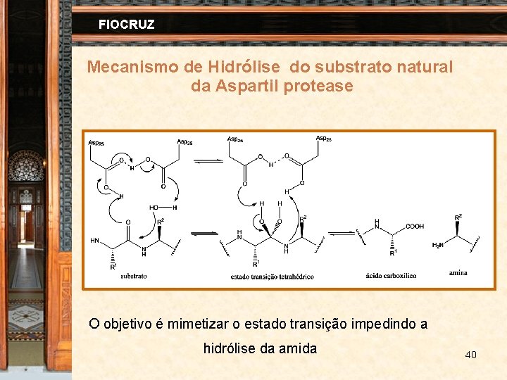 FIOCRUZ Mecanismo de Hidrólise do substrato natural da Aspartil protease O objetivo é mimetizar