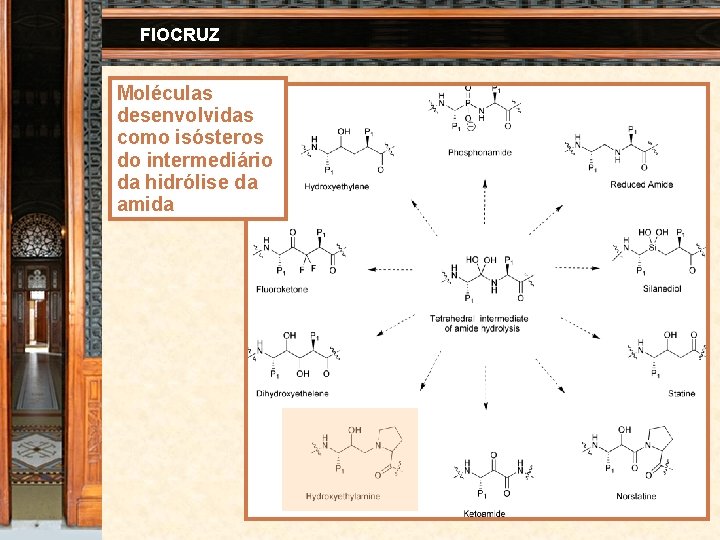 FIOCRUZ Moléculas desenvolvidas como isósteros do intermediário da hidrólise da amida 41 