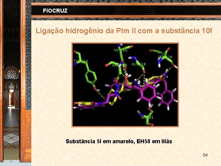 FIOCRUZ Ligação hidrogênio da Plm II com a substância 10 f Substância 5 l