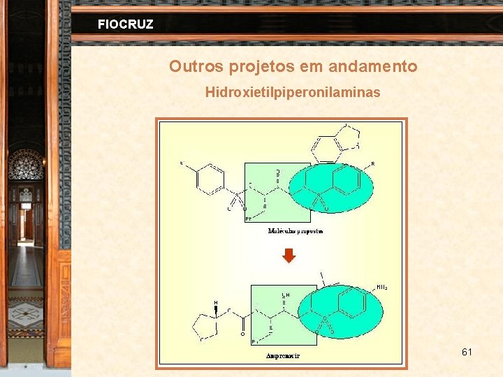 FIOCRUZ Outros projetos em andamento Hidroxietilpiperonilaminas 61 