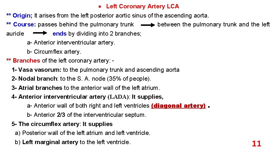  Left Coronary Artery LCA ** Origin; It arises from the left posterior aortic