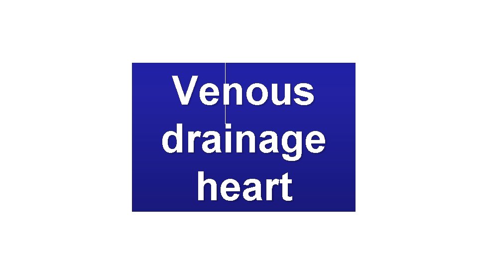 Venous drainage heart 