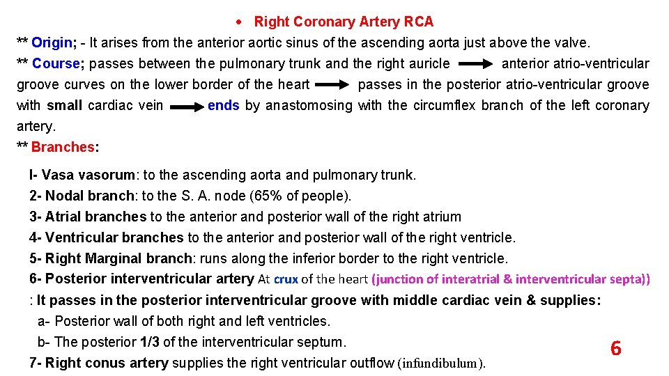  Right Coronary Artery RCA ** Origin; It arises from the anterior aortic sinus