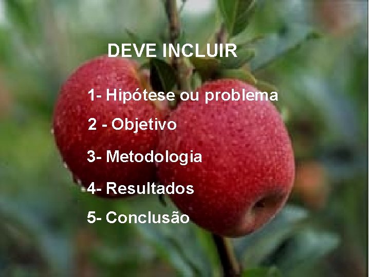 DEVE INCLUIR 1 - Hipótese ou problema 2 - Objetivo 3 - Metodologia 4