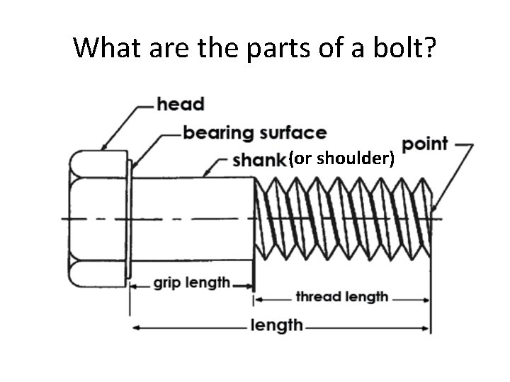What are the parts of a bolt? (or shoulder) 