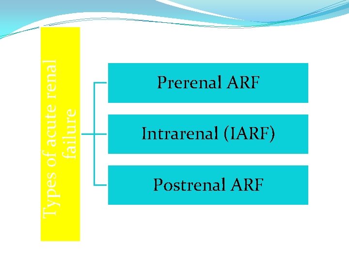 Types of acute renal failure Prerenal ARF Intrarenal (IARF) Postrenal ARF 