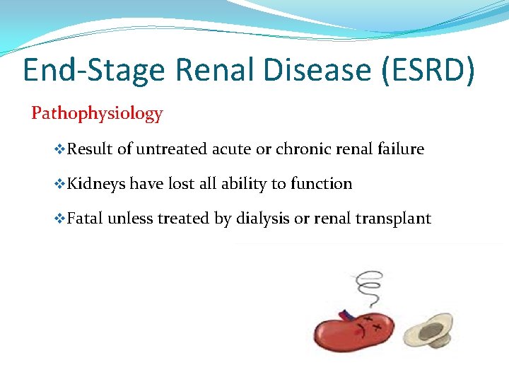 End-Stage Renal Disease (ESRD) Pathophysiology v Result of untreated acute or chronic renal failure