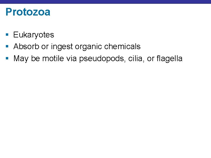 Protozoa § Eukaryotes § Absorb or ingest organic chemicals § May be motile via
