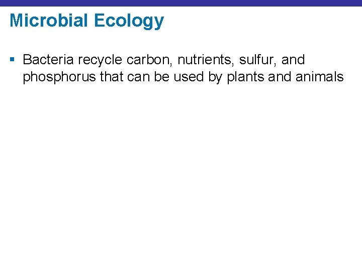 Microbial Ecology § Bacteria recycle carbon, nutrients, sulfur, and phosphorus that can be used
