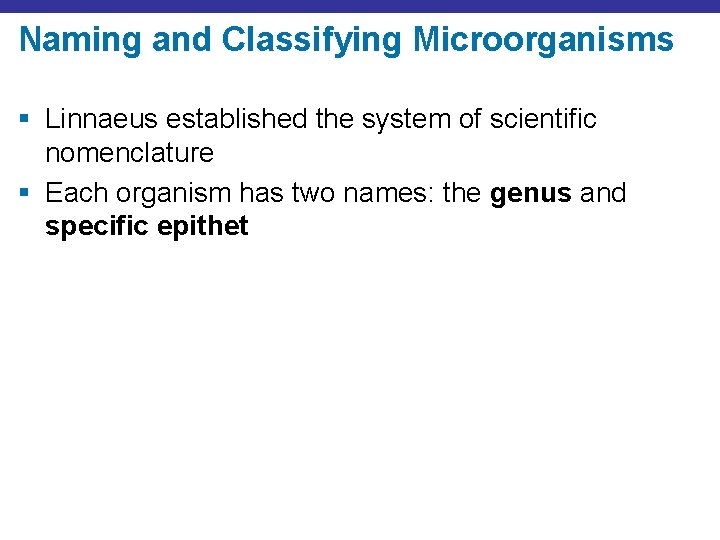Naming and Classifying Microorganisms § Linnaeus established the system of scientific nomenclature § Each