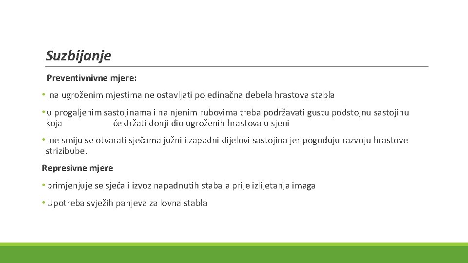 Suzbijanje Preventivnivne mjere: • na ugroženim mjestima ne ostavljati pojedinačna debela hrastova stabla •