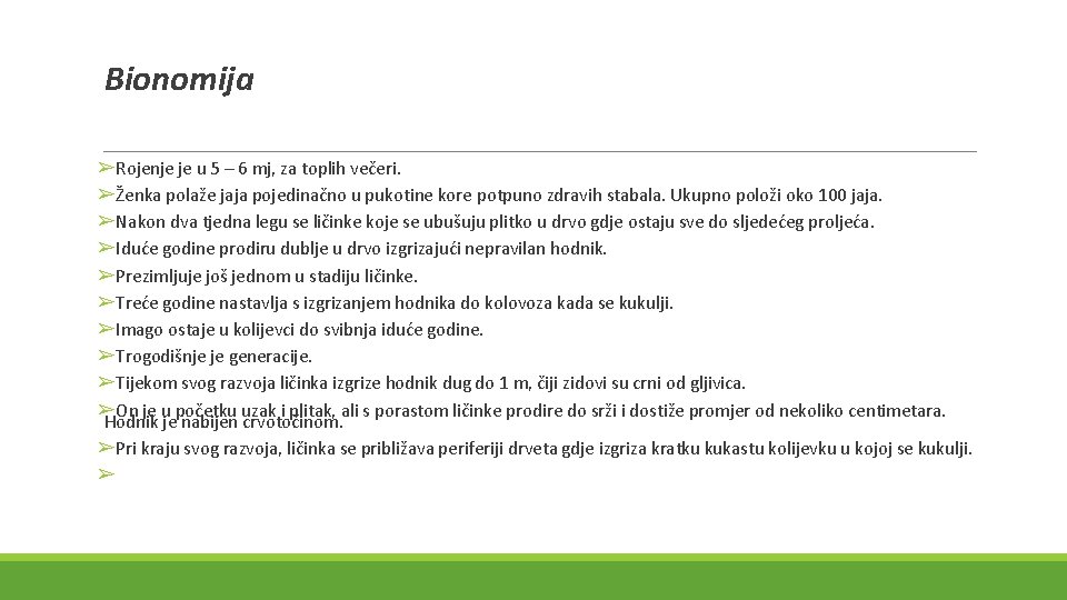 Bionomija ➢Rojenje je u 5 – 6 mj, za toplih večeri. ➢Ženka polaže jaja