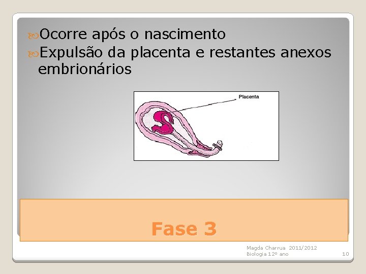  Ocorre após o nascimento Expulsão da placenta e restantes anexos embrionários Fase 3