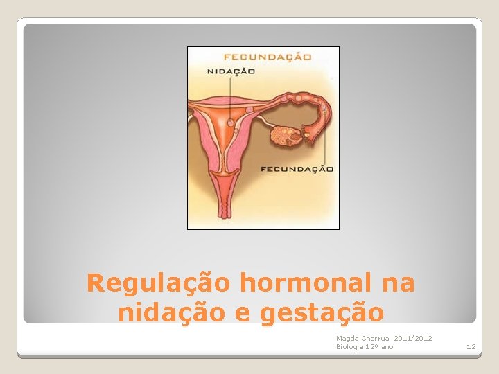 Regulação hormonal na nidação e gestação Magda Charrua 2011/2012 Biologia 12º ano 12 