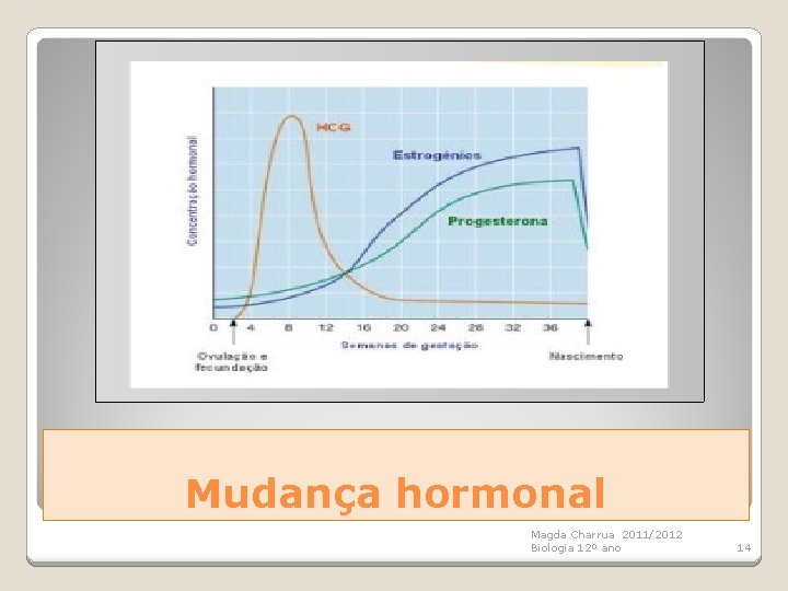 Mudança hormonal Magda Charrua 2011/2012 Biologia 12º ano 14 