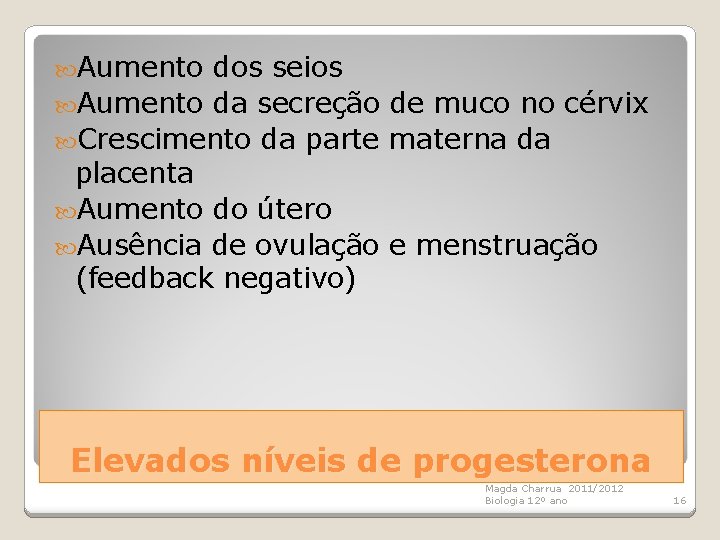  Aumento dos seios Aumento da secreção de muco no cérvix Crescimento da parte