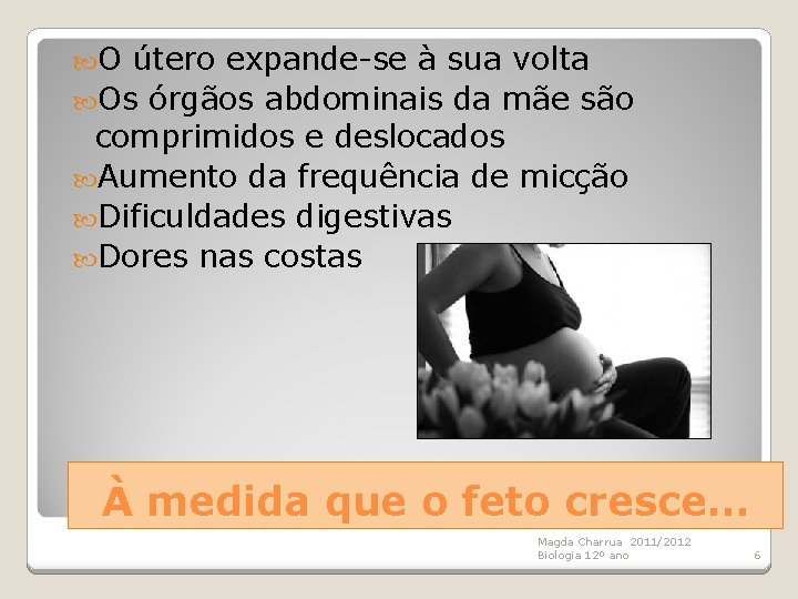  O útero expande-se à sua volta Os órgãos abdominais da mãe são comprimidos