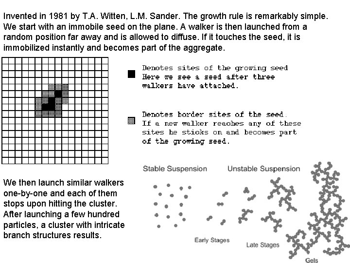 Invented in 1981 by T. A. Witten, L. M. Sander. The growth rule is