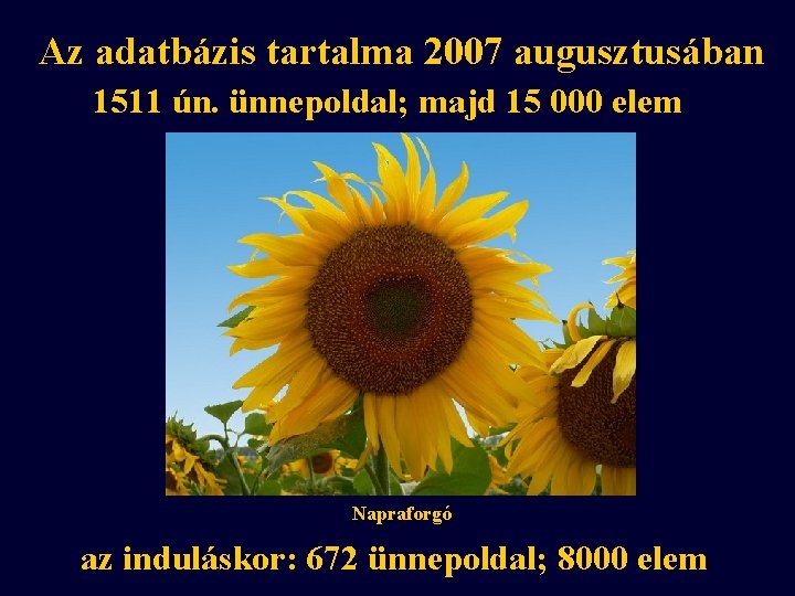 Az adatbázis tartalma 2007 augusztusában 1511 ún. ünnepoldal; majd 15 000 elem Napraforgó az