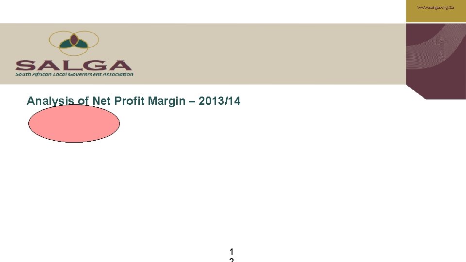 www. salga. org. za Analysis of Net Profit Margin – 2013/14 1 