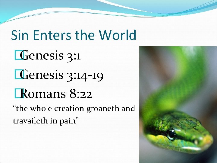 Sin Enters the World �Genesis 3: 14 -19 �Romans 8: 22 “the whole creation