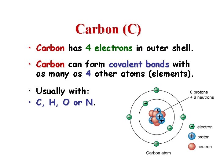 Carbon (C) • Carbon has 4 electrons in outer shell. • Carbon can form