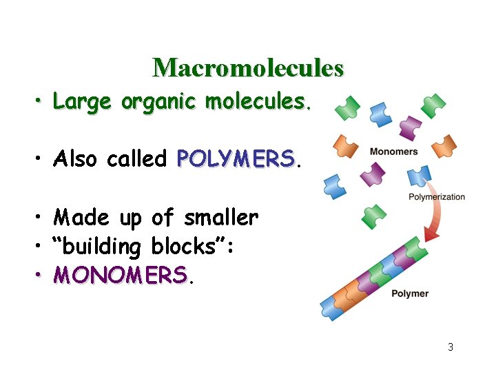 Macromolecules • Large organic molecules. • Also called POLYMERS • Made up of smaller