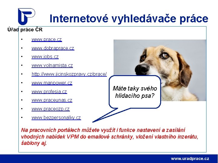 Internetové vyhledávače práce • www. prace. cz • www. dobraprace. cz • www. jobs.