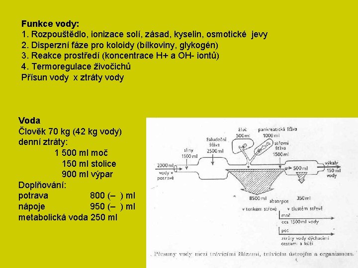 Funkce vody: 1. Rozpouštědlo, ionizace solí, zásad, kyselin, osmotické jevy 2. Disperzní fáze pro