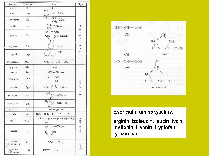 Esenciální aminokyseliny: arginin, izoleucin, lyzin, metionin, treonin, tryptofan, tyrozin, valin 