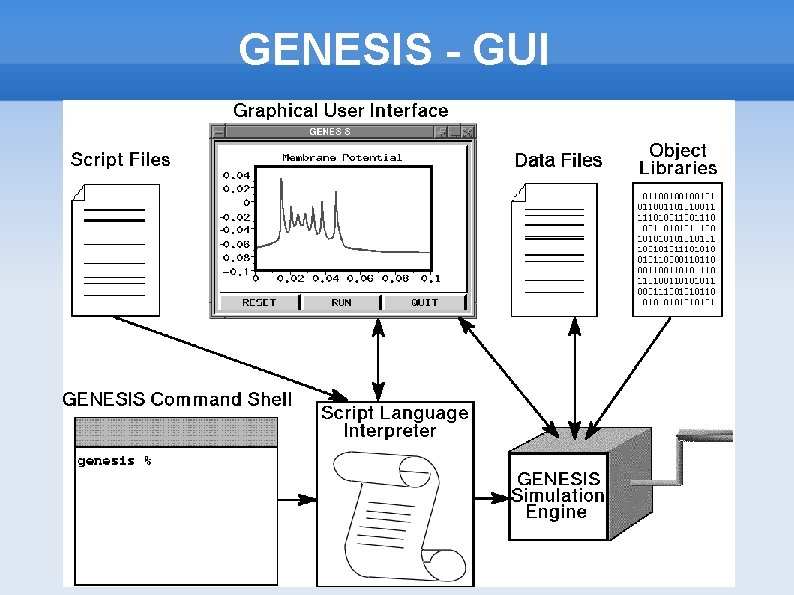GENESIS - GUI 