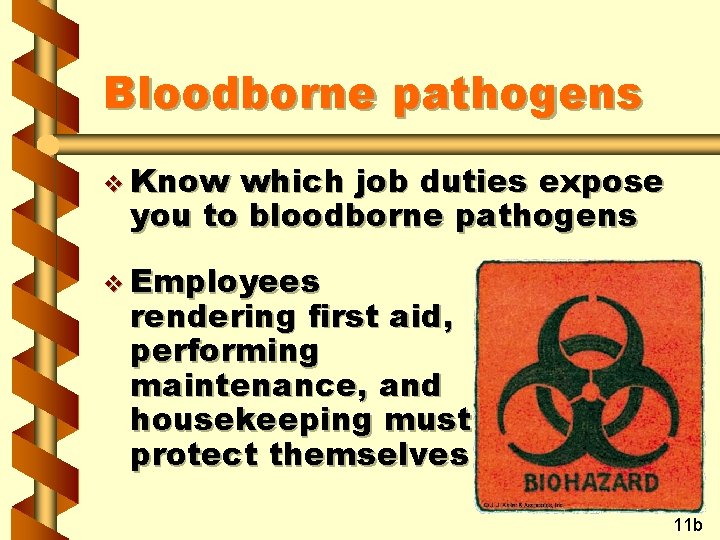 Bloodborne pathogens v Know which job duties expose you to bloodborne pathogens v Employees
