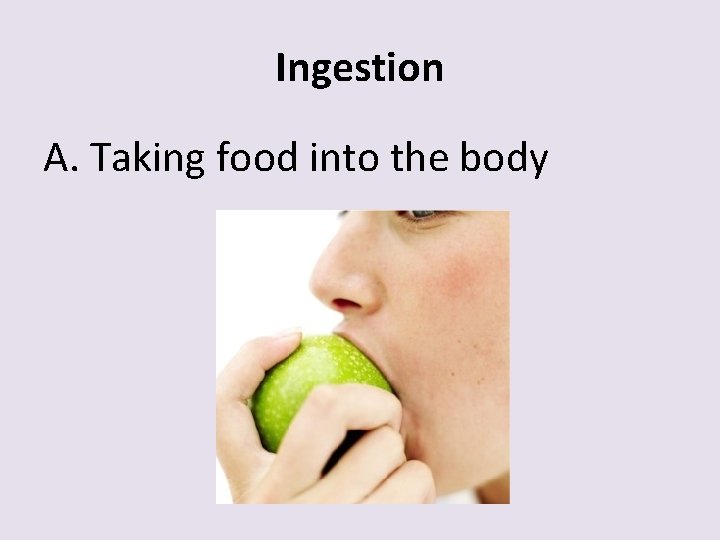 Ingestion A. Taking food into the body 