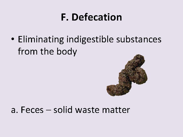 F. Defecation • Eliminating indigestible substances from the body a. Feces – solid waste