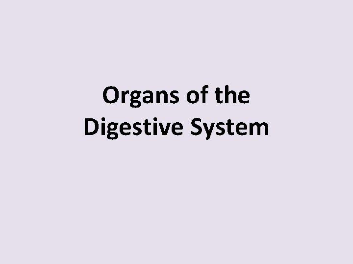 Organs of the Digestive System 