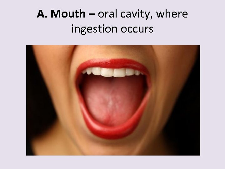 A. Mouth – oral cavity, where ingestion occurs 