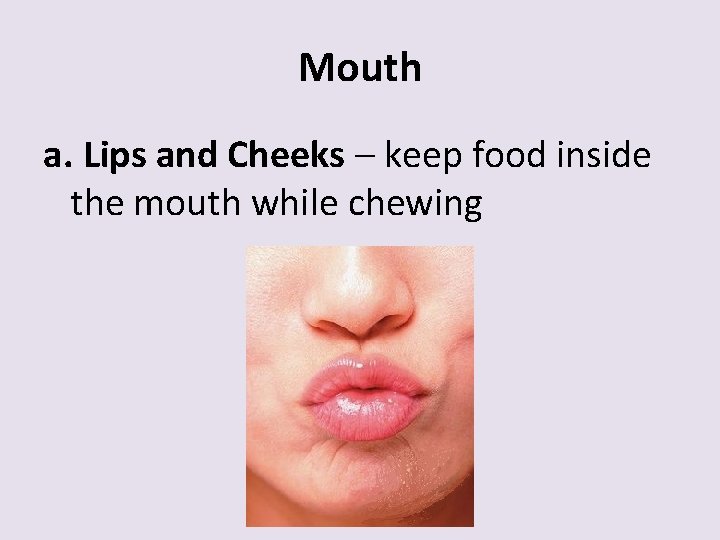 Mouth a. Lips and Cheeks – keep food inside the mouth while chewing 