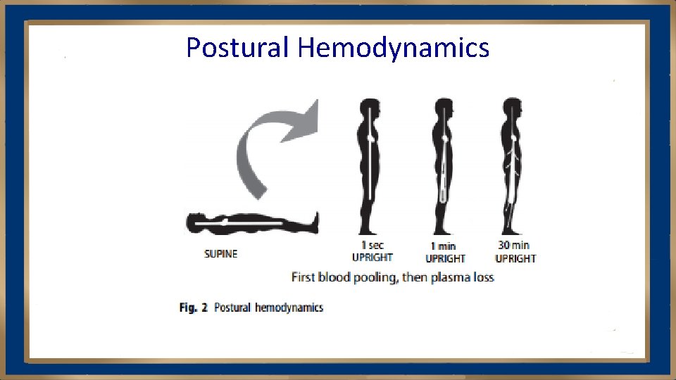 Postural Hemodynamics 
